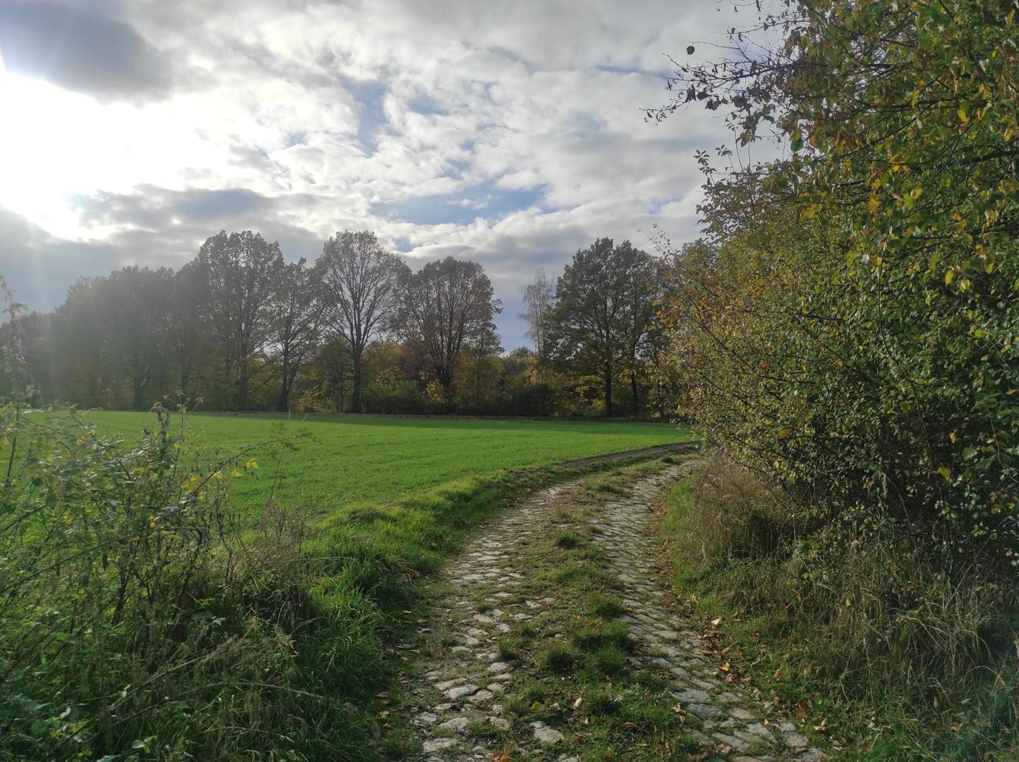 Lazurowa Prowansja - Agroturystyka Villa Toscana Boleslawiec  Εξωτερικό φωτογραφία